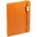 Ежедневник New Factor Metal, оранжевый G-25000.20