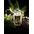 Набор Big City Light G-30175.02