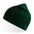 Шапка HOLLY из пряжи Polylana® темно-зелёный HG-25509.17