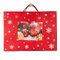 Пакет малый RED WONDER размер 32 x 27 x 11 см, красный HG-24502/08
