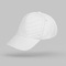 Бейсболка «Florida 350» 5-панельная, белый OA-2182701