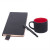 Подарочный набор DAILY COLOR: кружка, бизнес-блокнот, ручка с флешкой 4 ГБ, черный/голубой черный, красный