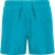 Плавательные шорты «Aqua», мужские бирюзовый