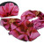 Подарочный набор «Цветы» розовый/черный