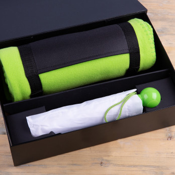 Набор подарочный RAINY DAY: зонт складной, механический, плед, коробка,  светло-зеленый