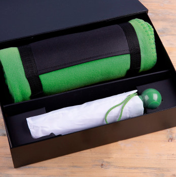 Набор подарочный RAINY DAY: зонт складной, механический, плед, коробка, зеленый