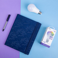 Набор подарочный BRIGHTIDEA: бизнес-блокнот, ручка шариковая, лампочка, коробка с наполнителем