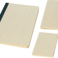 Подарочный набор «Verde»: блокнот А5, блокнот А6, бумага для заметок