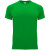 Спортивная футболка «Bahrain» мужская папоротниковый