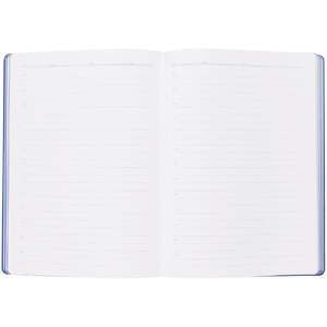 Ежедневник Flexpen, недатированный, серебристо-синий G-11087.14 фото 12