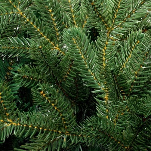 Искусственная ель Ms.Tree, 180 см G-15936.01 фото 4