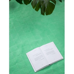 Плед для пикника Soft & Dry 2, светло-зеленый G-16579.94 фото 10