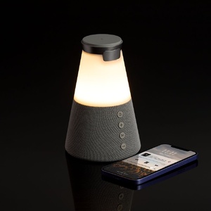 Bluetooth-колонка с беспроводной зарядкой и подсветкой Cone Sonance, серая G-17573.10 фото 9