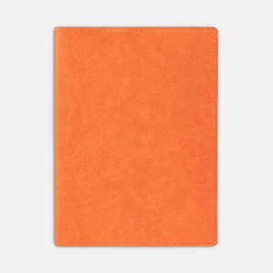 Ежедневник в суперобложке Brave Book, недатированный, оранжевый G-17709.20 фото 4