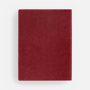 Ежедневник в суперобложке Brave Book, недатированный, красный G-17709.50 фото 5