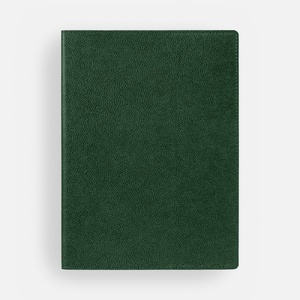 Ежедневник в суперобложке Brave Book, недатированный, зеленый G-17709.90 фото 4