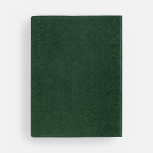 Ежедневник в суперобложке Brave Book, недатированный, зеленый G-17709.90 фото 5