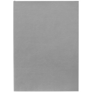 Ежедневник Flat Light, недатированный, серый G-17876.10 фото 3