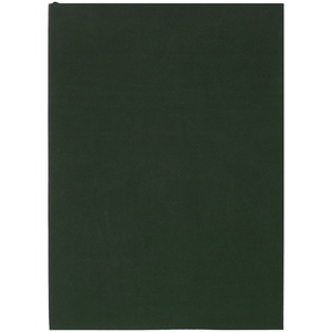 Ежедневник Flat Light, недатированный, зеленый G-17876.90 фото 3