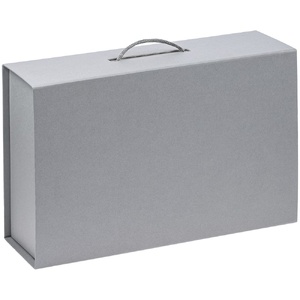 Коробка Big Case, серая G-21042.10 фото 4