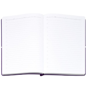 Ежедневник Flexpen Bright, недатированный, фиолетовый G-21168.70 фото 10
