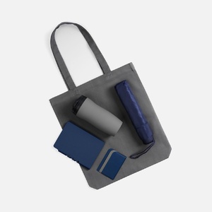Набор Dual Umbrella, синий G-22420.40 фото 4