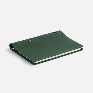 Ежедневник inStream, недатированный, зеленый G-25551.90 фото 5