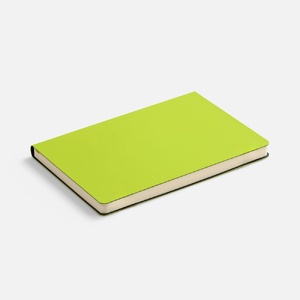 Ежедневник Flex Shall New, недатированный, светло-зеленый G-27881.90 фото 7