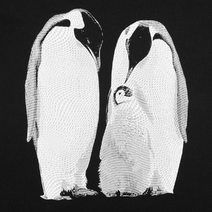 Футболка женская Like a Penguin, черная, размер S G-71921.301 фото 4