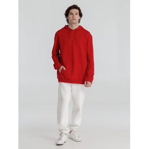 Толстовка с капюшоном унисекс Hoodie, красная, размер S G-WU03W0041S фото 10