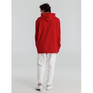 Толстовка с капюшоном унисекс Hoodie, красная, размер S G-WU03W0041S фото 12