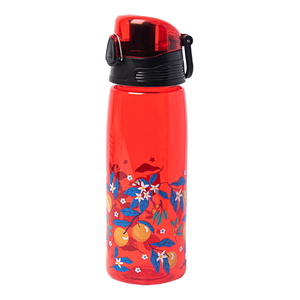 Бутылка для воды FLASK, 800 мл красный HG-1113/08 фото 3