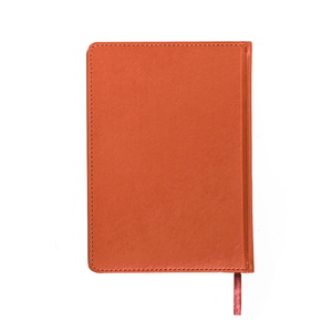 Ежедневник недатированный CAMPBELL, формат А5, в линейку оранжевый HG-24605/05 фото 4