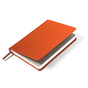 Ежедневник недатированный CAMPBELL, формат А5, в линейку оранжевый HG-24605/05 фото 6