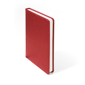 Ежедневник недатированный CAMPBELL, формат А5, в линейку красный HG-24605/08 фото 10