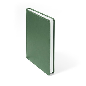 Ежедневник недатированный CAMPBELL, формат А5, в линейку зеленый HG-24605/15 фото 10