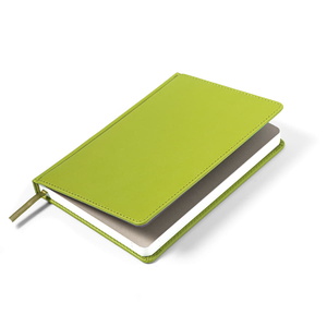 Ежедневник недатированный CAMPBELL, формат А5, в линейку зеленое яблоко HG-24605/27 фото 6