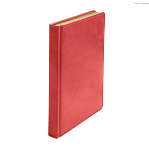 Ежедневник недатированный JOY, формат А5, в линейку ярко-красный HG-24606/08 фото 9
