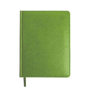 Ежедневник недатированный JOY, формат А5, в линейку зеленое яблоко HG-24606/27 фото 3