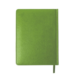 Ежедневник недатированный JOY, формат А5, в линейку зеленое яблоко HG-24606/27 фото 4