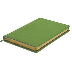 Ежедневник недатированный JOY, формат А5, в линейку зеленое яблоко HG-24606/27 фото 5