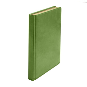 Ежедневник недатированный JOY, формат А5, в линейку зеленое яблоко HG-24606/27 фото 9
