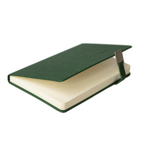 Ежедневник недатированный LINNIE, формат А5, в линейку зеленый HG-24621/17 фото 6