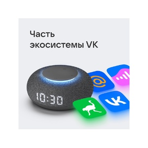 Умная колонка VK Капсула Мини с голосовым помощником Марусей, темный серый темно-серый OA-212601 фото 8