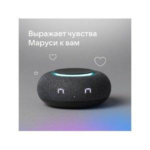 Умная колонка VK Капсула Мини с голосовым помощником Марусей, темный серый темно-серый OA-212601 фото 15