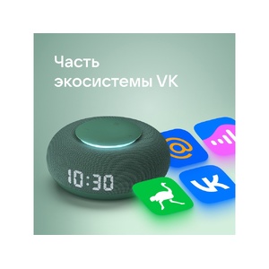 Умная колонка VK Капсула Мини с голосовым помощником Марусей, хвойный зеленый OA-212604 фото 8