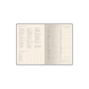 Ежедневник А5 «Megapolis Slim flex», оранжевый OA-3-791.03 фото 11