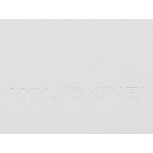 Записная книжка Moleskine Classic (в линейку) в твердой обложке, Medium (11,5x18 см), белый OA-40511106 фото 7