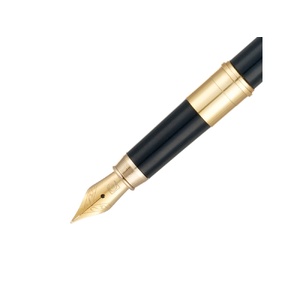 Ручка 2 в 1 шариковая и перьевая Pierre Cardin COMBI PEN, цвет - черный. Упаковка Е OA-417721 фото 12