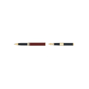 Ручка 2 в 1 шариковая и перьевая Pierre Cardin COMBI PEN, цвет - терракотовый. Упаковка Е OA-417723 фото 6